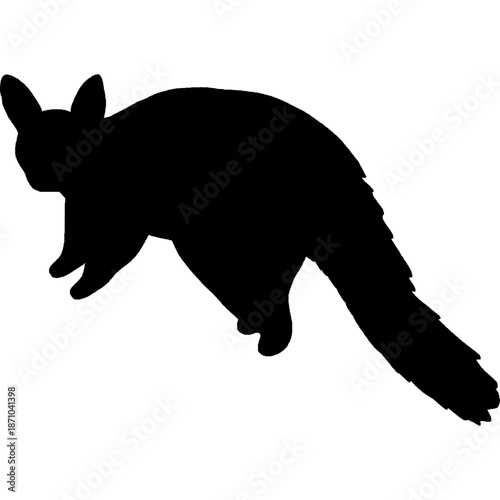 Bushy tailed opossum silhouette