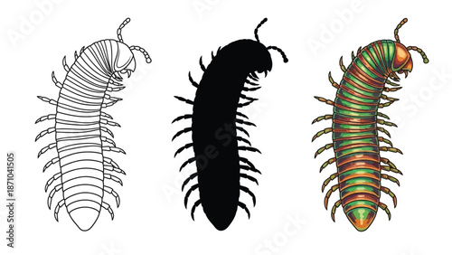 Set of three illustrations of a millipede outline drawing, black silhouette and colored realistic drawing