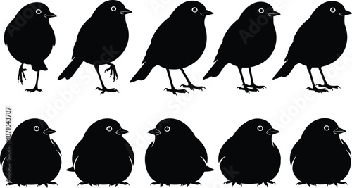 Cute bird silhouette collection in various standing poses, small wildlife animal illustration, black and white minimal nature design set