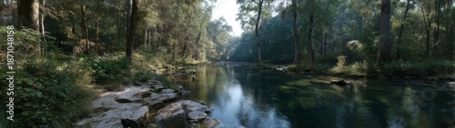 Panoramic hdr view of serene river in lush forest environment