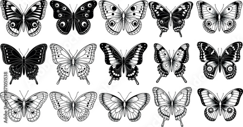 Black and white butterfly vector set with detailed hand drawn insect illustrations in vintage engraving and sketch style isolated on white background