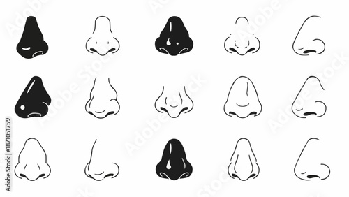 Collection of diverse nose illustrations in black and white.