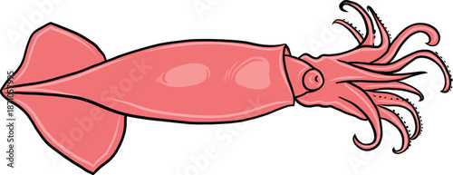 High-resolution vector of a pink squid. Isolated on white background, suitable for marine biology and seafood market branding. Isolated Deep Sea Animal for Marine Science and Culinary Use. Pink Squid.