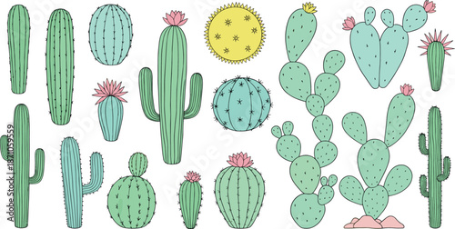 Cute cactus and succulent plants vector set with hand drawn desert botanical illustrations in flat cartoon style isolated on white background