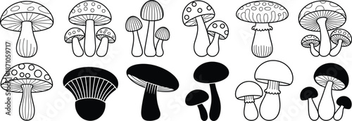Mushroom vector illustration set, hand-drawn fungi collection, black and white forest mushrooms, cartoon toadstool graphics, botanical clipart for design

 flat vector illustration