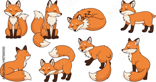 Cute fox character vector set featuring playful forest animals in different poses and emotions in flat cartoon illustration style isolated on white background