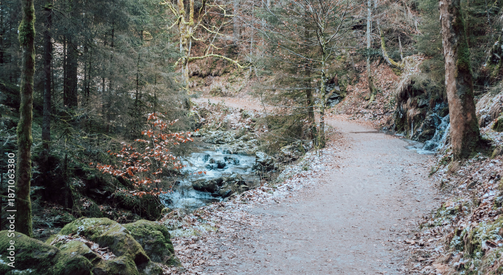 Fototapeta premium Gorgeous wild landscapes at the Ravenna Gorge in the Black Forest, Germany 