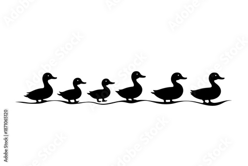 Duck Family in a Row: A charming silhouette of a duck family, comprising ducks, gracefully aligned in a row, gliding across calm waters, depicting a harmonious journey.