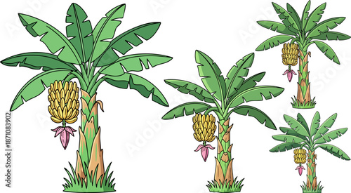 Set of 4 Cartoon Banana Trees with Green Leaves and Yellow Bananas Vector Illustration