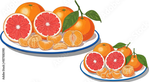 Fresh Citrus Fruit Assortment with Grapefruits and Tangerines on White Plates Vector Illustration