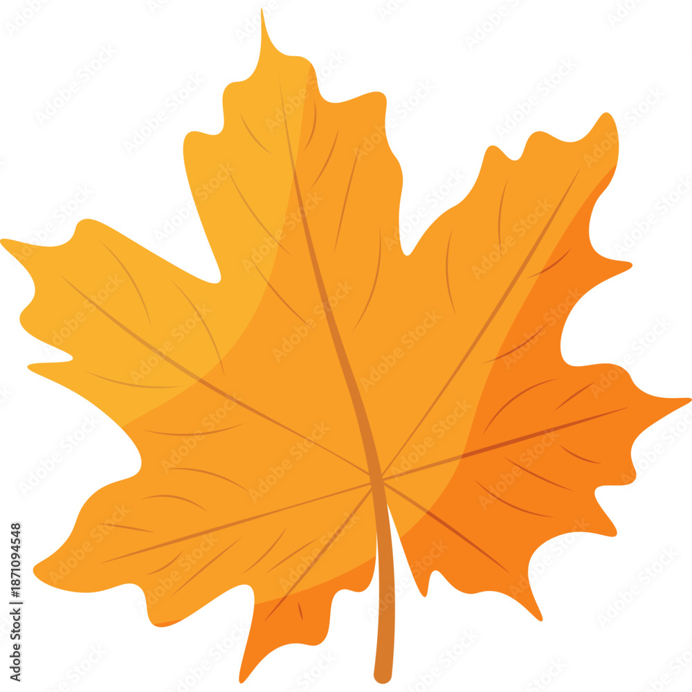 Obraz premium Autumn Maple Leaf