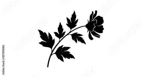 Elegant Black Silhouette of a Flowering Plant Branch with Leaves.