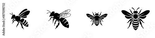 Different types of bees displayed in black silhouette on white