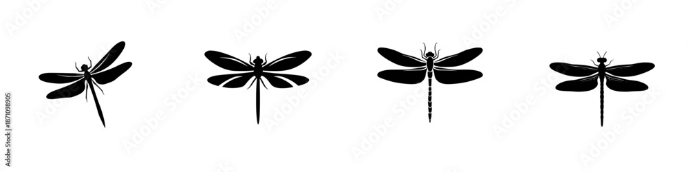 Obraz premium Dragonflies in different positions showing wings depicted in a
