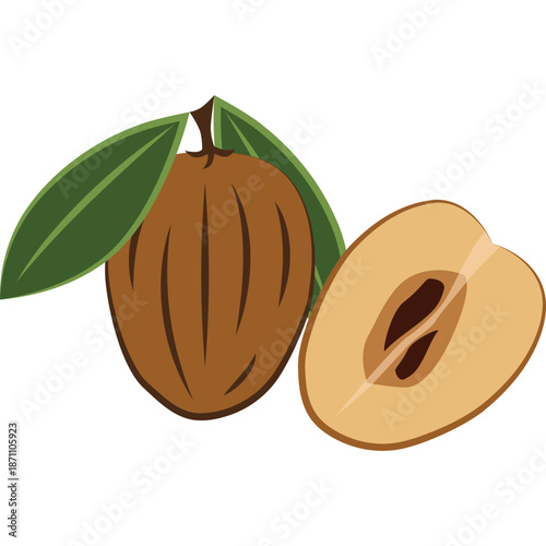 Brown Sapodilla Fruit with Leaves, Whole and Halved