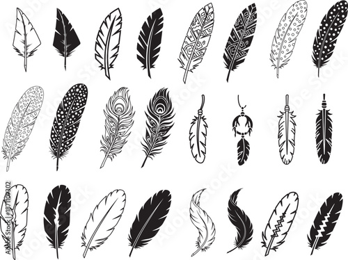 Collection of various feather illustrations in different patterns and designs