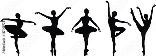 Graceful Ballet Silhouettes in Classic Poses

Elegant Dancers in Tutu Silhouettes

Artistic Ballet Dance Silhouette Collection