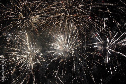 fireworks in the night sky