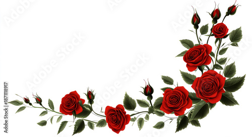 red rose corner decoration on a transparent background,