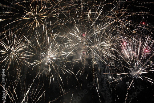 fireworks in the night sky