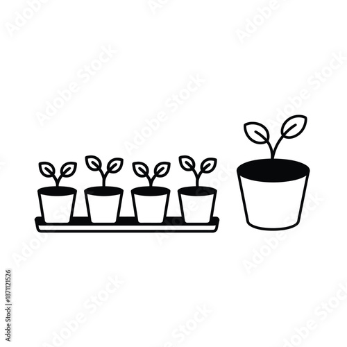 Small seedlings growing in pots representing new life and cultivation