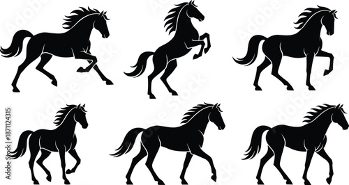 Horse silhouette illustration set, running rearing walking stallion poses, black vector animal collection isolated