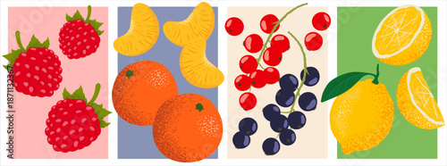 Vintage botanical vector illustrations of fruit including raspberries, tangerines, clementines, lemons, and red and black currants, inspired by antique engraved botanical drawings.