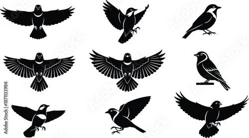Flying bird silhouettes set with various wing positions, small songbirds in motion and perched poses, wildlife nature black vector illustration