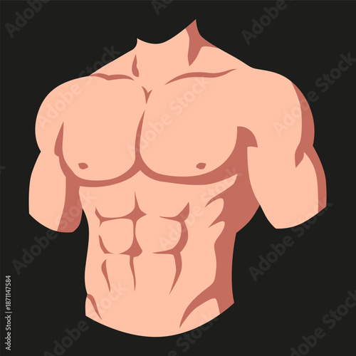 Muscular Male Torso Anatomy Illustration. The artwork features a simplified flat design style with smooth shapes.