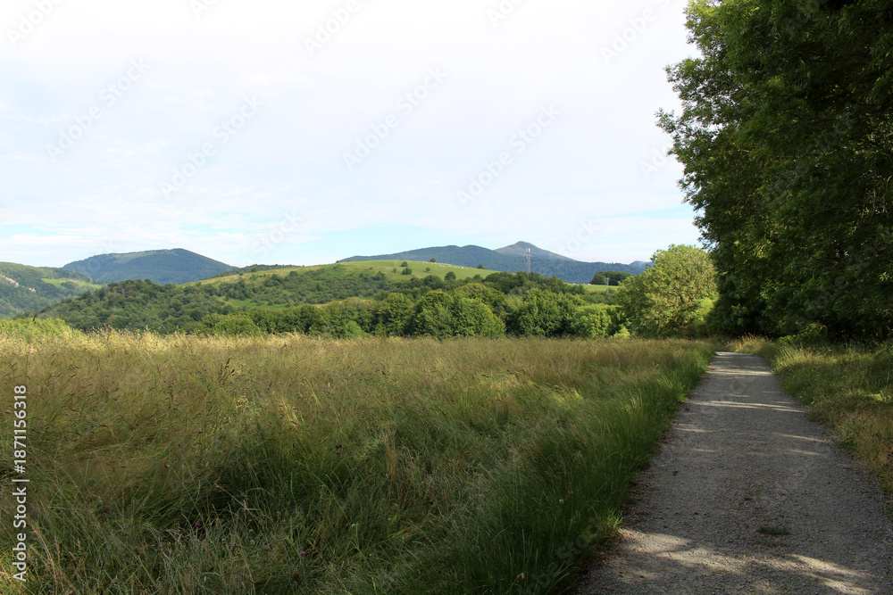 Fototapeta premium Rural scenery after leaving Espinal along the Camino de Santiago route in Navarre, July 2024.