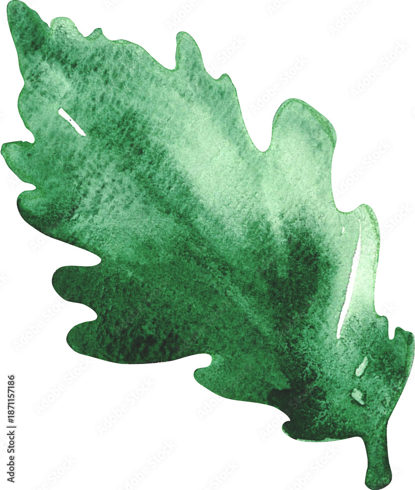 Obraz premium Hand Drawn Watercolor Leaves in Sequence Illustration