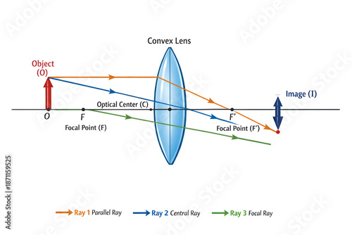 Convex Lens Ray Diagram Showing Image Formation and Focal Points in Optics