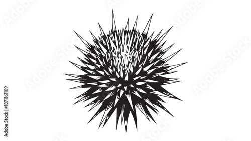 Abstract spiky spherical silhouette resembling a starburst with radial symmetry and intricate center design.