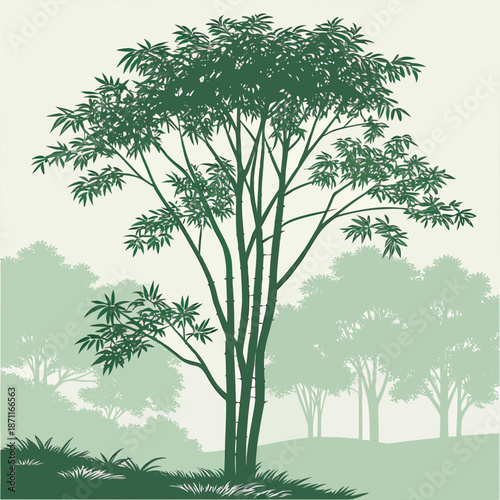 Large green tree with multiple trunks and branches on a hill