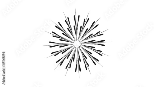 Black and white abstract starburst design element on white background.