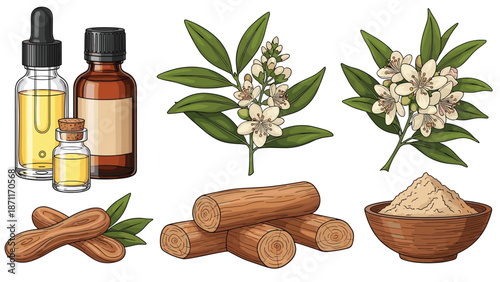 Collection of natural aromatherapy products including essential oil bottles, sandalwood logs, and flowers.