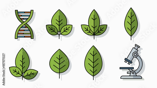 A vector graphic illustration of green leaves and a microscope with a DNA double helix symbol representing genetic research and botany
