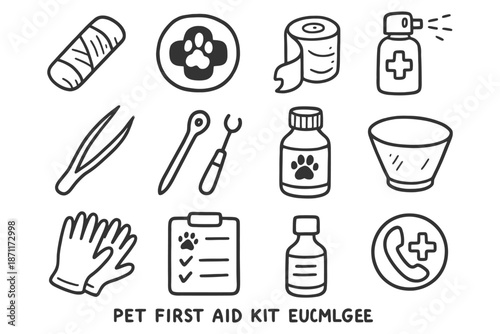Pet first aid kit essentials: tools, medical supplies, equipment, and care items.