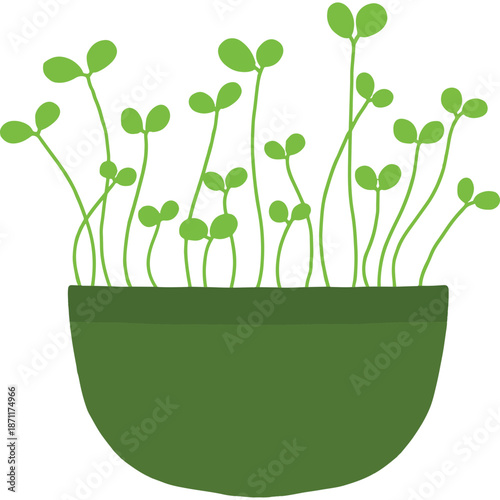 Green Sprouts Growing in a Pot