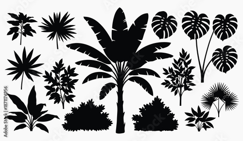 Collection of tropical palm tree silhouettes on white background