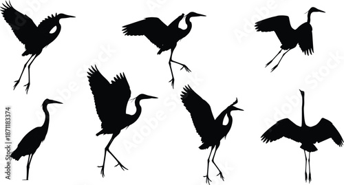 Crane bird silhouette vector set, flying and standing herons, black elegant wading birds, nature wildlife illustrations, graceful waterfowl