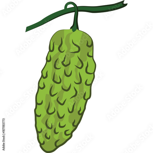 Illustration of a green hop cone hanging from a stem