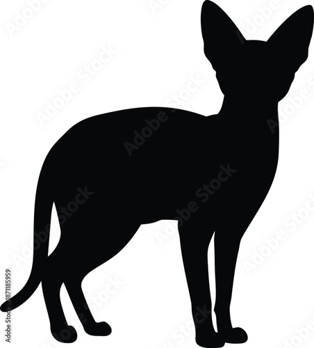 Sphynx Cat Silhouette Standing Tall and Alert with Ears Pointed Up