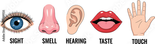 Five human senses icons set with eye nose ear mouth and hand for educational anatomy or medical biology projects