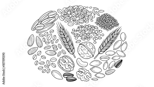 Vector illustration of whole grains, oats, nuts and seeds, healthy diet concept, line art style, isolated on white background