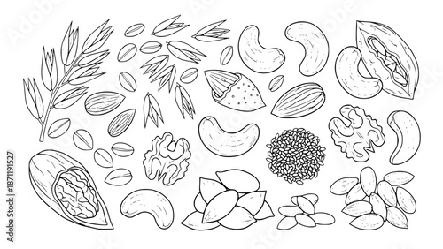 Vector illustration of whole grains, oats, nuts and seeds, healthy diet concept, line art style, isolated on white background