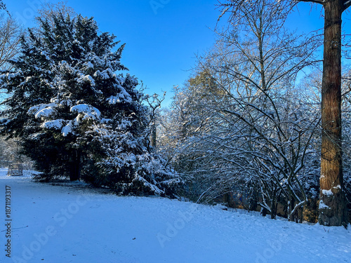 Snow covered trees and bushes on a beautiful sunny Winter Day in Berlin Public Park Hasenheide with snow, sun and a blue sky. In Kreuzberg Neu-Koelln.