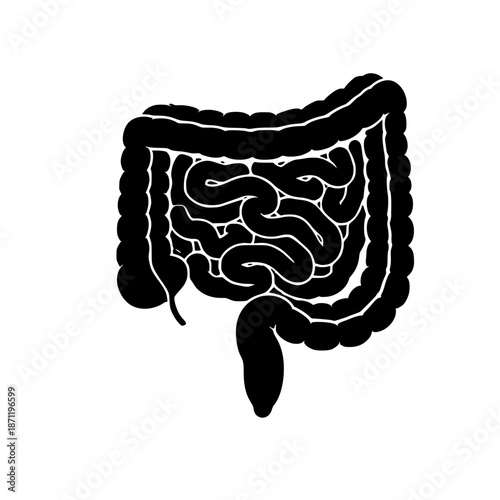 Human Intestines Silhouette Medical Icon Isolated on White Background