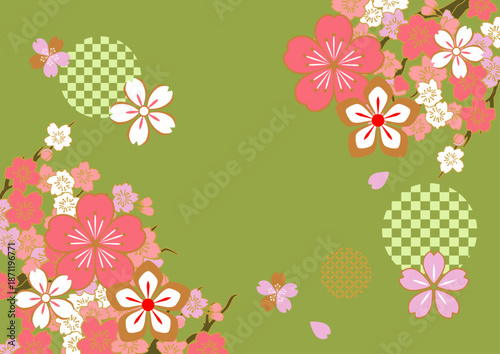 ピンクの美しい桜の背景イラスト　抹茶