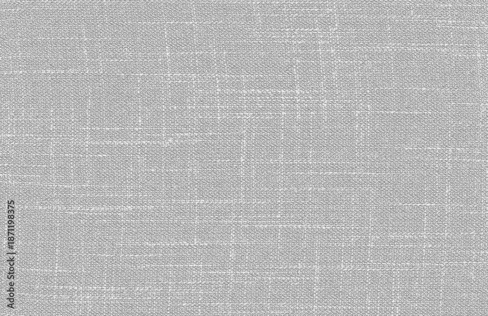 Fototapeta premium Gray Stucco Wall Texture